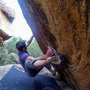 Matt Carrig profile