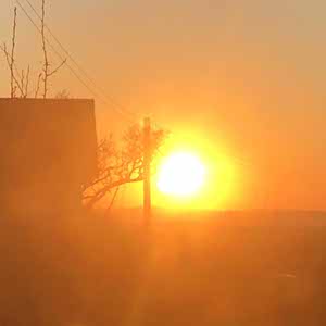 Jimmy Raeside profile