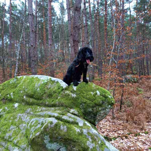 Xavier & Finch profile