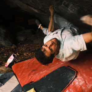 Dominic Scherer profile