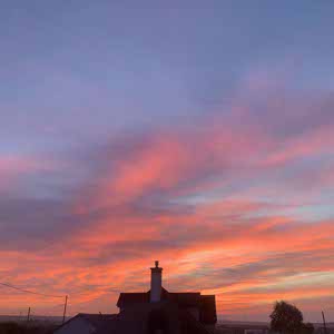 Esmerallda Marrison profile
