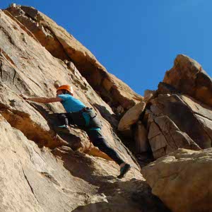 Alice Shimmin profile