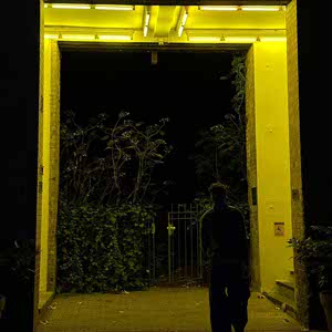 Mauro Plaetinck profile