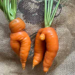 Crimps and Carrots 🥕 Ma profile