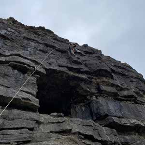 Alfie Sudall profile