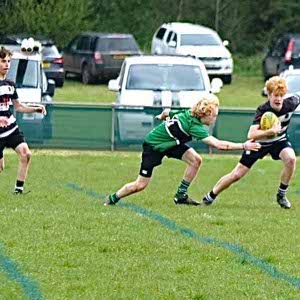 Theo Harvey profile