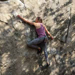 Ulrike Bauer profile