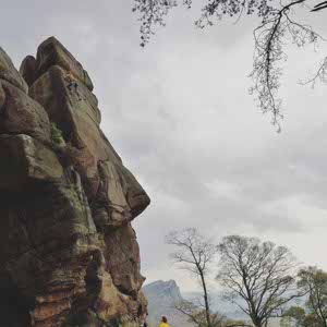 Anna Proffitt profile