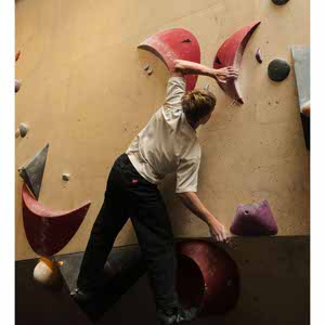 Finley Bradtke profile