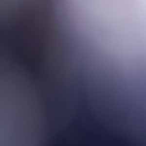 Andrew Jackson profile