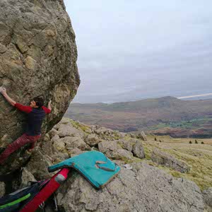 Rhys Whitehouse profile