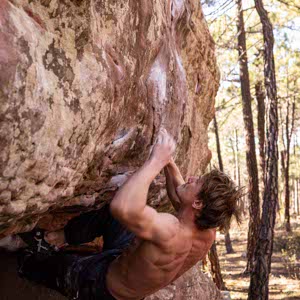 Tommy Gannon profile