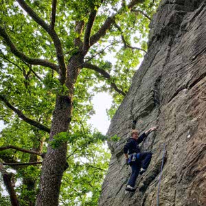 Jon Isak Salamonsen profile
