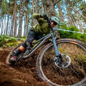Ian Hart profile
