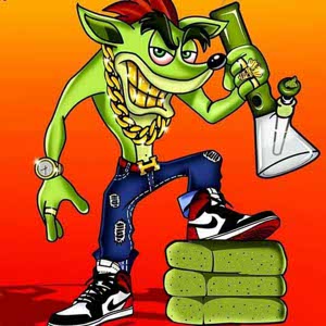 Flash Bandicoot profile