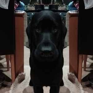 SUMC Sam smith profile