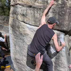 Rhodri Davies profile