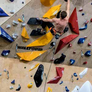 Will Sillett profile