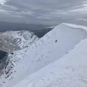Sam Morris profile