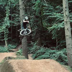 Tom Holdstock profile