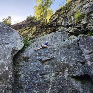 Rob Cole profile