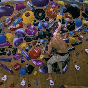 Oliver Westlake profile