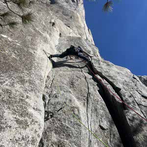 Morgan McGlade profile