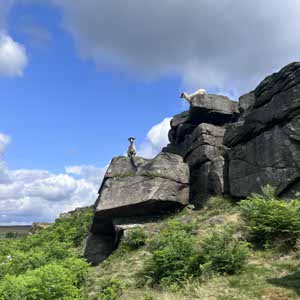 hannah stainbank profile