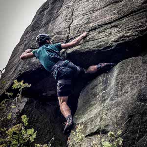 Tom Crook profile