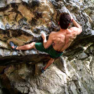 Dane Argomandkhah profile