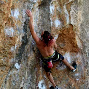 David Maynard profile