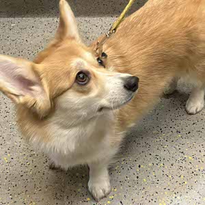 Tilly Marks profile