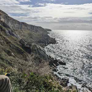 Ed Thomsett profile