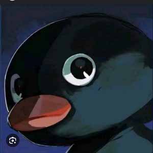 Aila NOOT NOOT profile