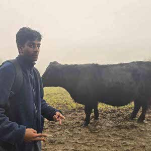 sachin wijeyaratnam profile