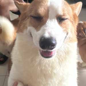 Viren Lew profile