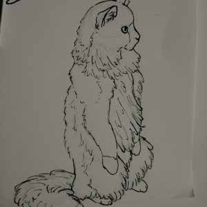 Par Nepar profile