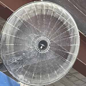 Antonella Monte profile