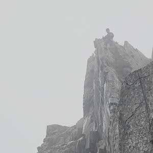 Joshua Jamieson profile