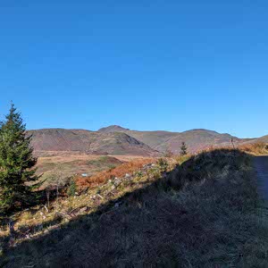 Colin Milton profile