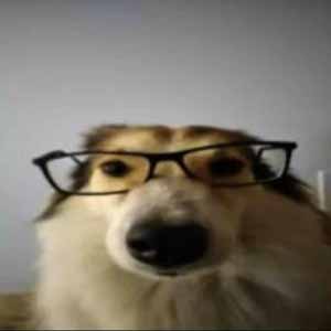 Annie DK profile