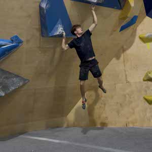 Will Wilkens profile
