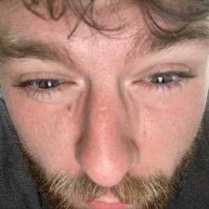 Matt Strutt Donnelly profile