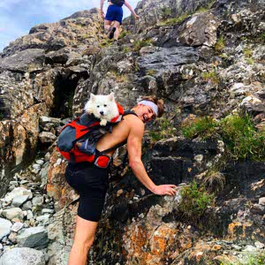 Angus Stuart profile
