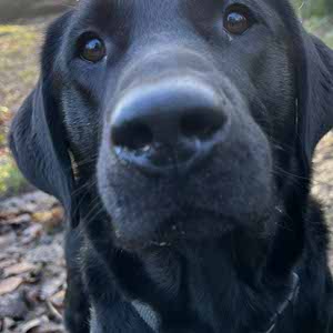Seth McCabe Miller profile