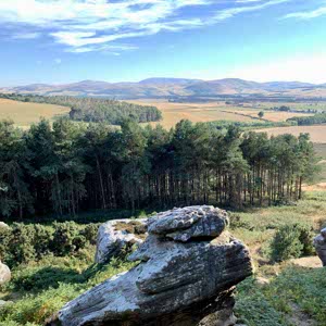 Lesley Marshall profile