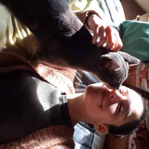 Chiara Ferrazza profile