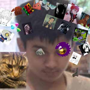 Zayn Mir profile