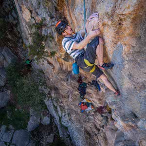 Euan Rollinson profile