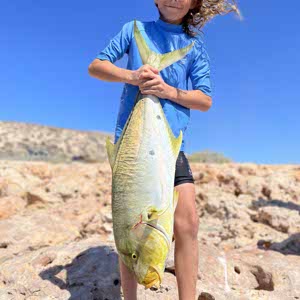 Ollie Paplinski Monkey profile